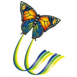 Gunther Butterfly