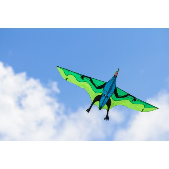 HQ  Flying Dinosaur 3D